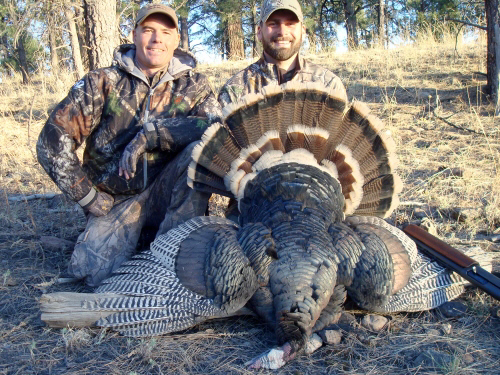 merriam's turkey hunting