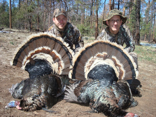 new mexico merriam's turkey hunt