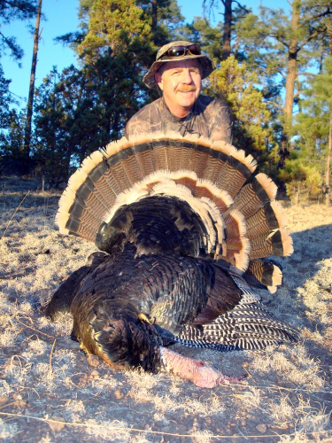 Merriam's turkey hunt with AZ Guided Hunts