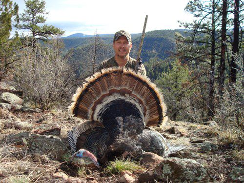 new mexico merriam's gobbler