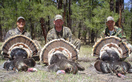 Merriam's turkey triple