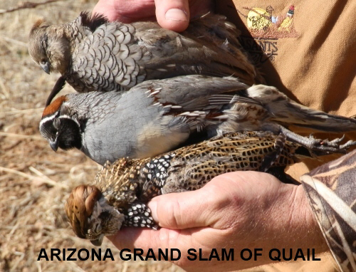 arizona hat trick grand slam of quail