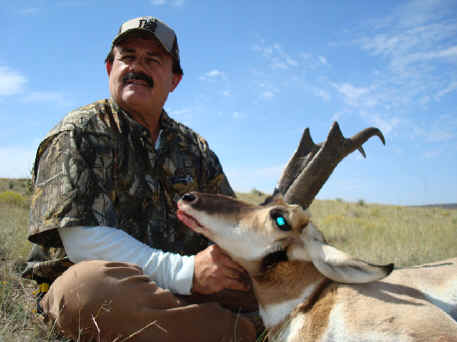 Arizona Antelope