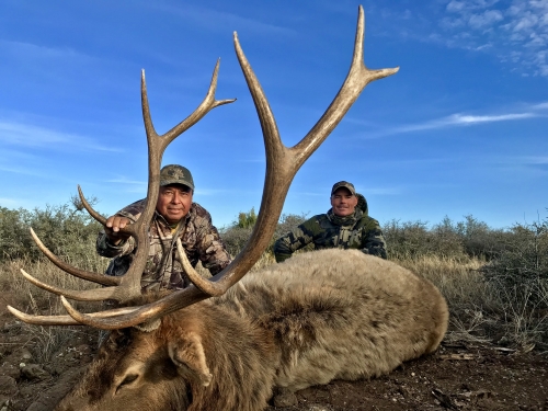 arizona elk guias outfitters caça