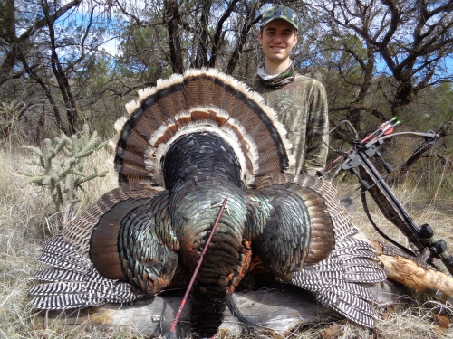 arizona goulds turkey hunting guides outfitters hunt