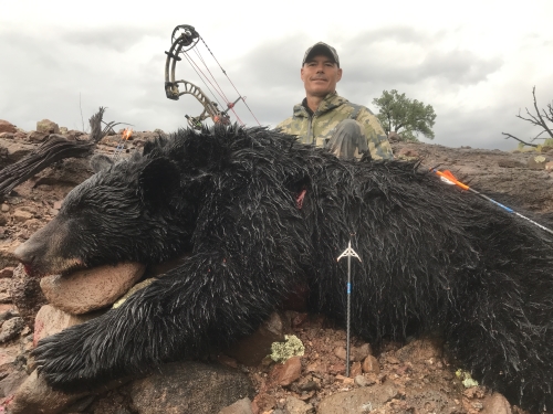 archery bow hunting bear in arizona guides outfitters