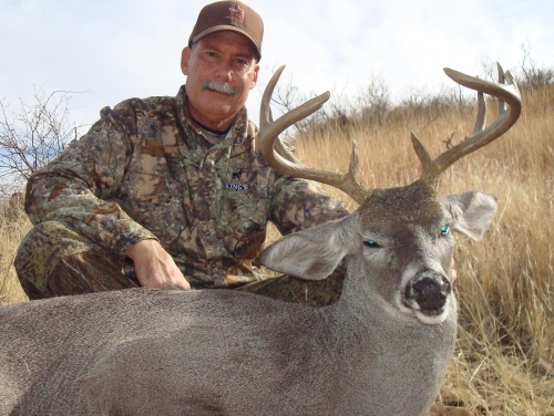 Coues Whitetailed Deer