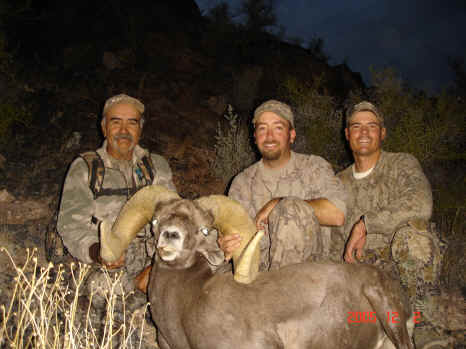 desert sheep guides