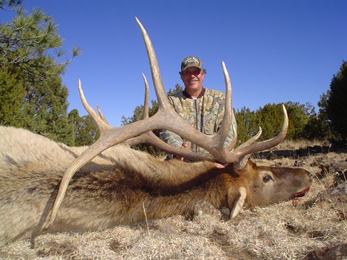arizona elk hunting