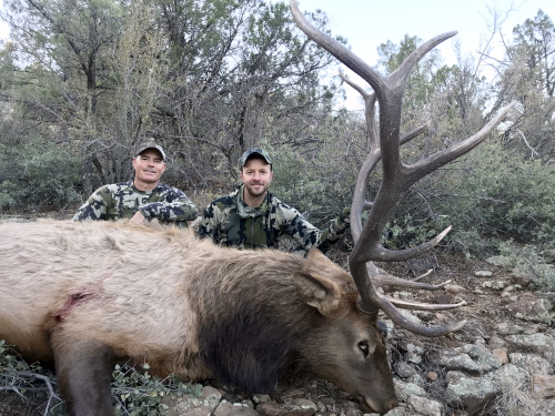arizona elk caça guias outfitters muzzleloader