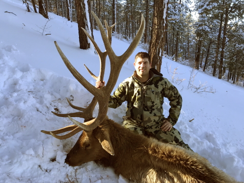 sfârșitul sezonului rifle Bull elk vânătoare în Arizona ghiduri Outfitters