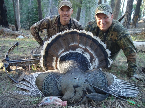 goulds turkey arizona hunting guides