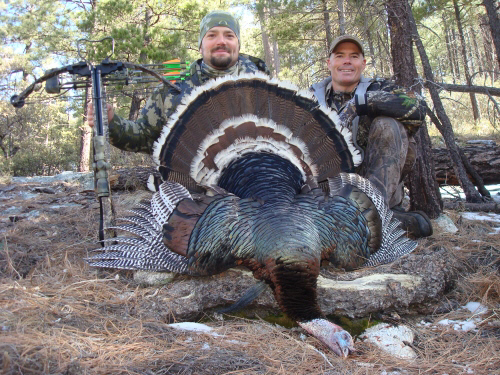 arizona gould's turkey hunting