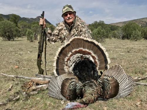 arizona goulds turkey hunting