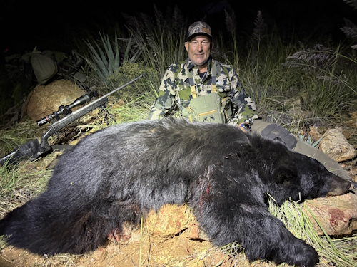 arizona bear hunt images outfitters guides