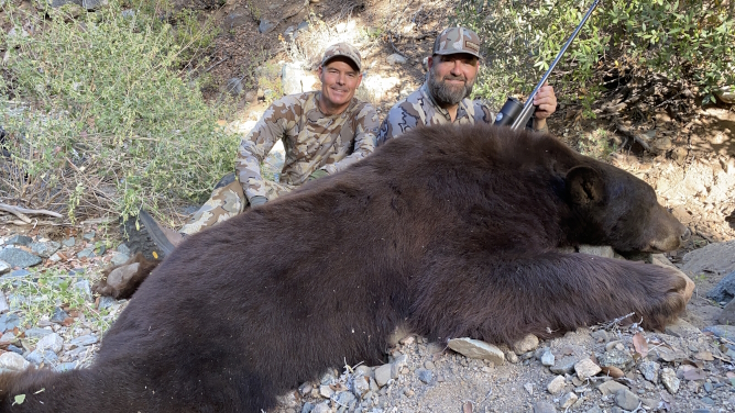 Hunting and Butchering Wild Black Bear
