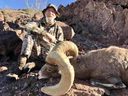 arizona desert bighorn sheep john brooks hunting outfitters guides