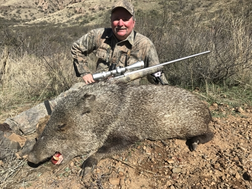 rifle season javelina hunting arizona guides outfitters