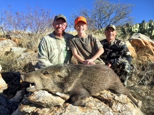 youth junior javelina hunting in arizona guides outfitters hunts