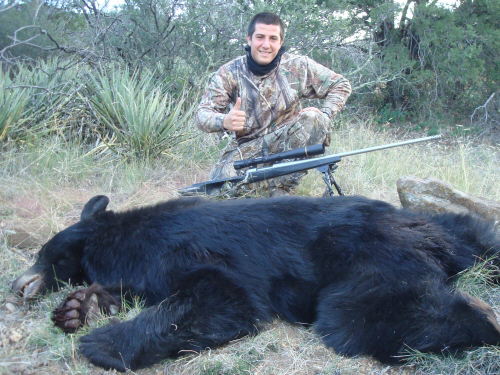 arizona black bear hunting