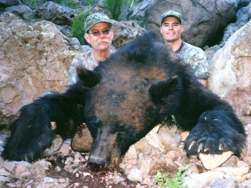 arizona record bear