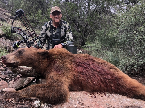 arizona bear hunting outfitters guides hunts