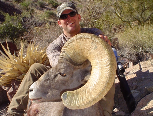 arizona desert big horn sheep guides outfitters hunt hunting