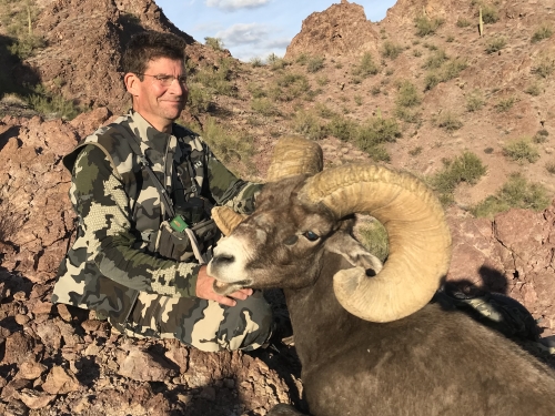desert sheep hunting arizona guided hunts outfitters guides