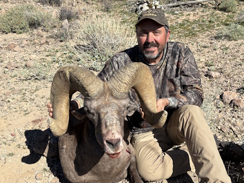 photo of arizona desert bighorn sheep hunting guides 