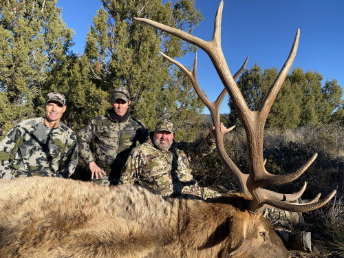 arizona late rifle bull elk hunt in unit 6a guides outfitters