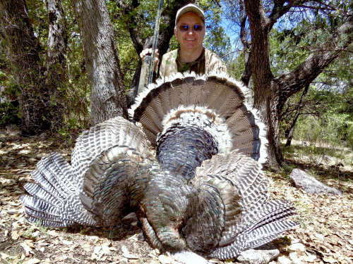 arizona gould's turkey hunting guide