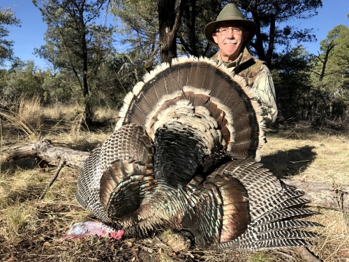 arizona goulds turkey hunting guide hunts