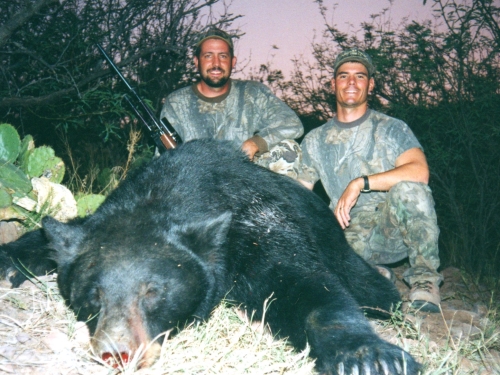big arizona black bear
