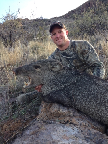 javelina hunting in arizona