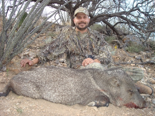 arizona javalina javelina hunt with rifle