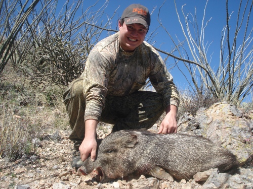 arizona rifle season javelina hunting