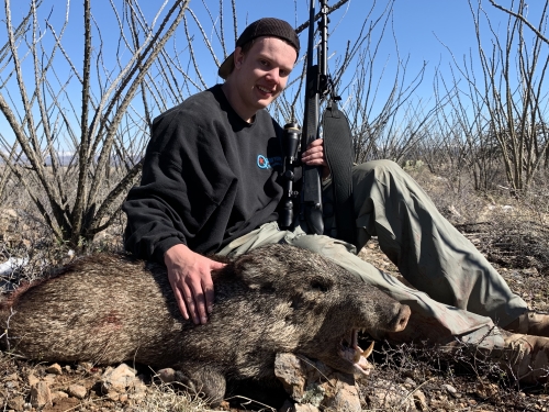 arizona javelina hunting rifle season guides outfitters hunts