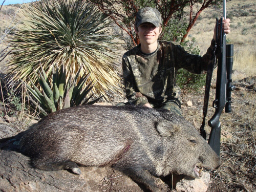 junior javelina hunting season in arizona