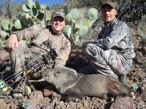 javelina hunting in arizona