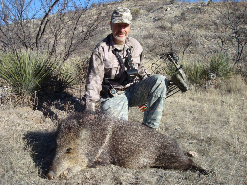 Arizona javelina hunting archery bow