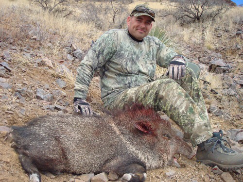 javelina hunting in Arizona