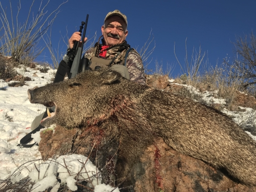 javalina javelina hunting rifle season in arizona guides outfitters