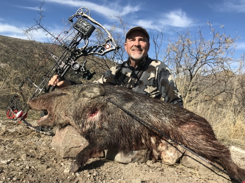 arizona rifle season javelina hunting hunts guides outfitters