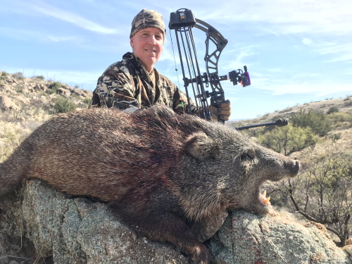 archery bow javelina hunting guides outfitters