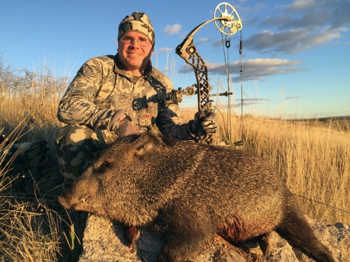 arizona archery bowhunting javelina guides outfitters