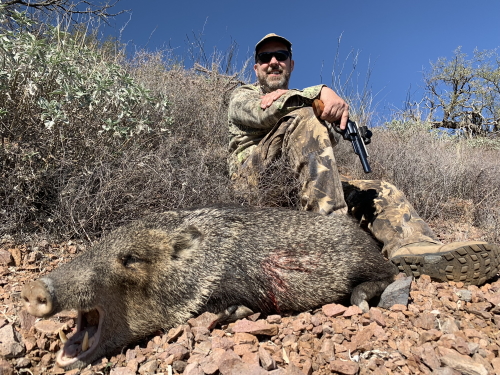 handgun pistol hunting for javelina in arizona