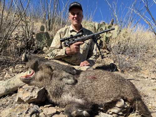rifle season javelina hunting in arizona guided hunts outfitters
