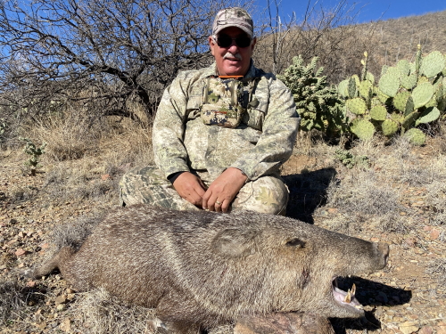 arizona javelina hunting season with a rifle Guides outfitters