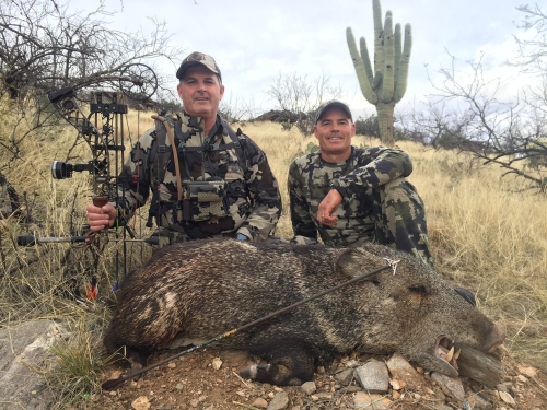 archery arizona javelina hunting guides outfitters hunts