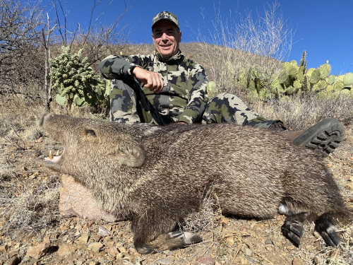 long range rifle javelina hunting in arizona guides outfitters